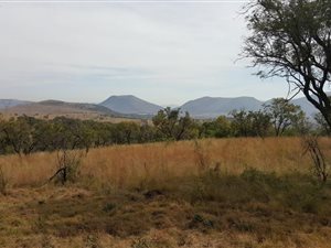21 ha Farm in Hennops River