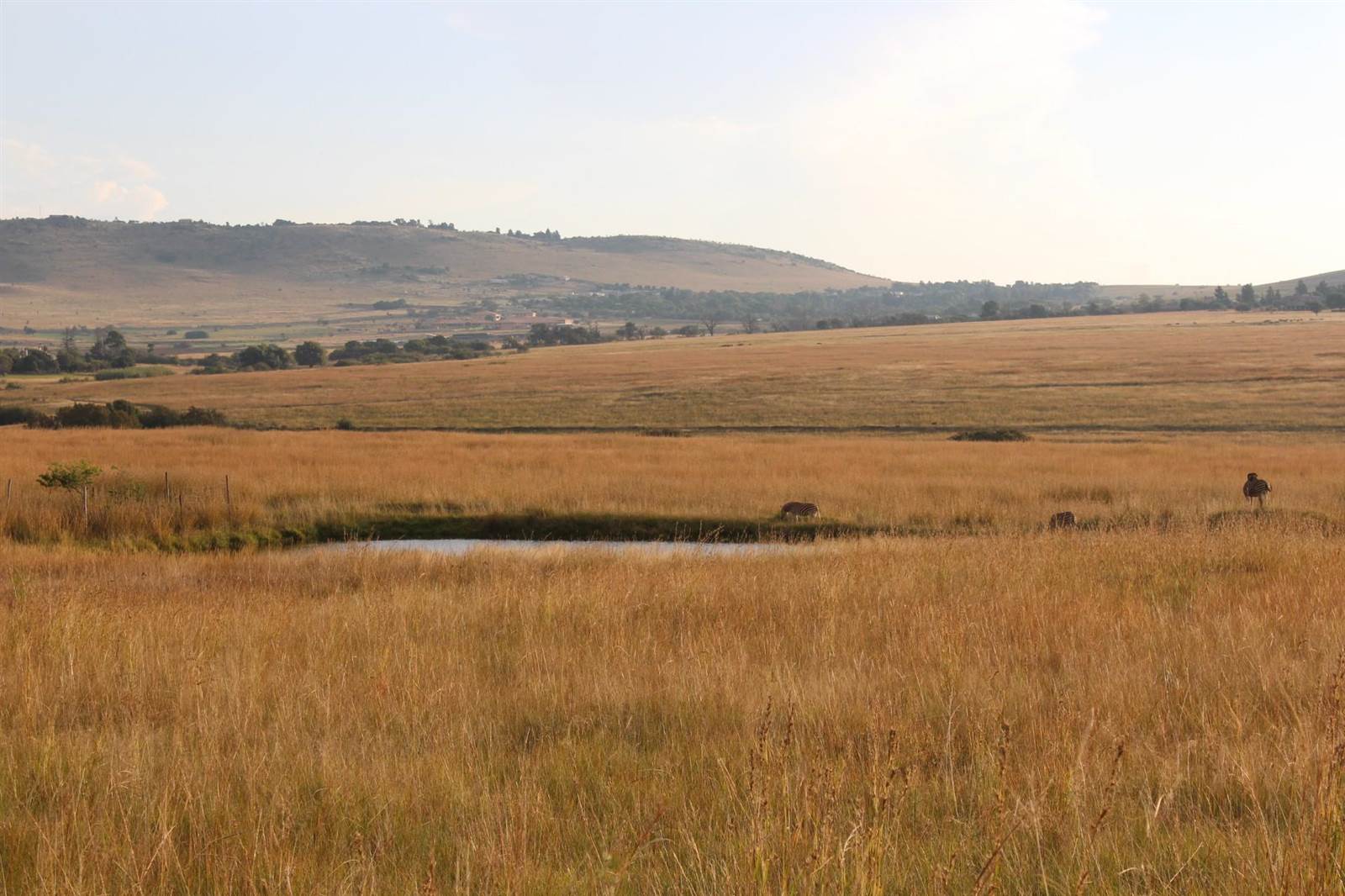 2 ha Land available in Cullinan and Surrounds photo number 5