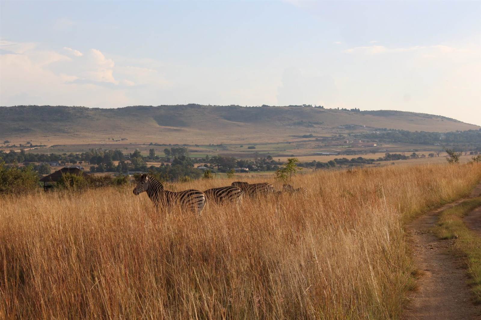 2 ha Land available in Cullinan and Surrounds photo number 17