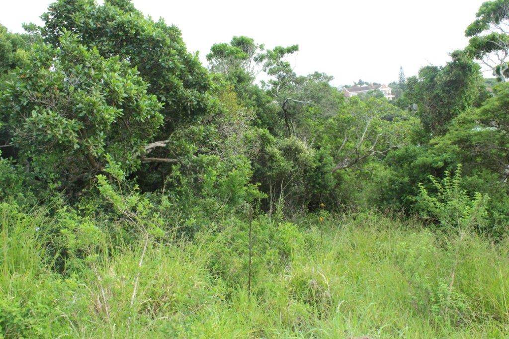 674 m² Land available in Kleinemonde photo number 3