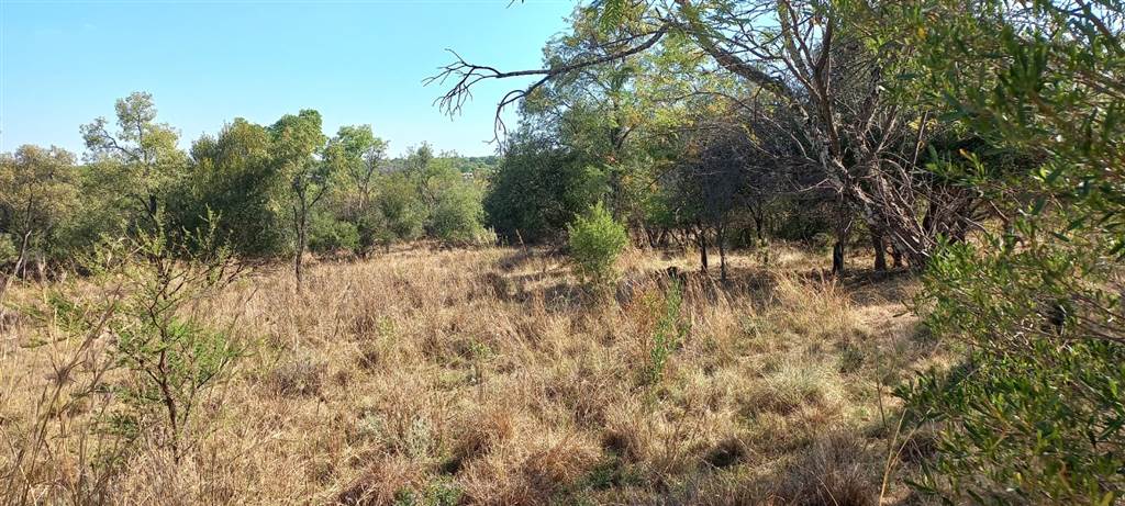 1092 m² Land available in Modimolle photo number 4