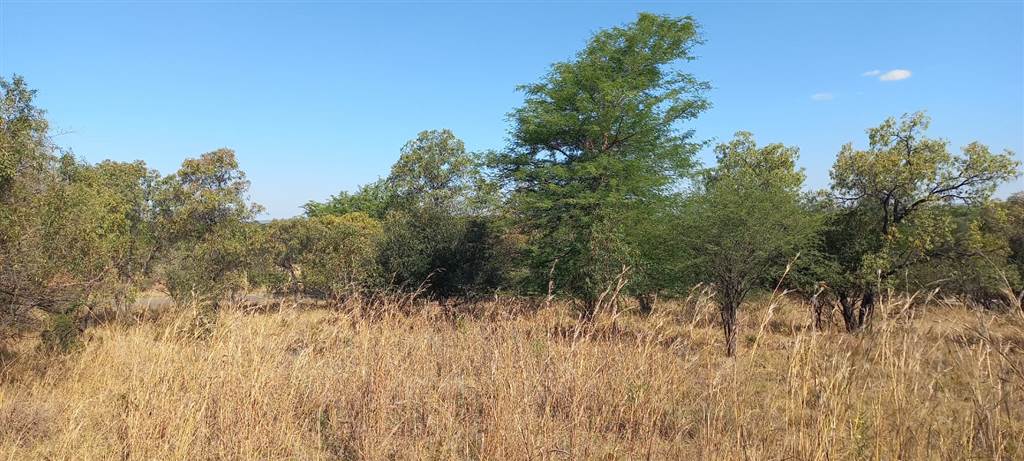 1092 m² Land available in Modimolle photo number 5
