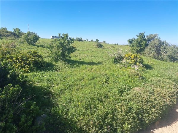 751 m² Land