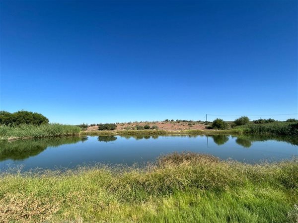 193 m² Farm 193 m² Farm