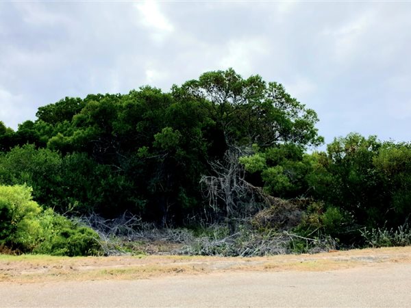 709 m² Land available in Paradise Beach