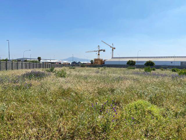7000 m² Land available in Parow photo number 6