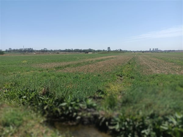 8.3 ha Farm