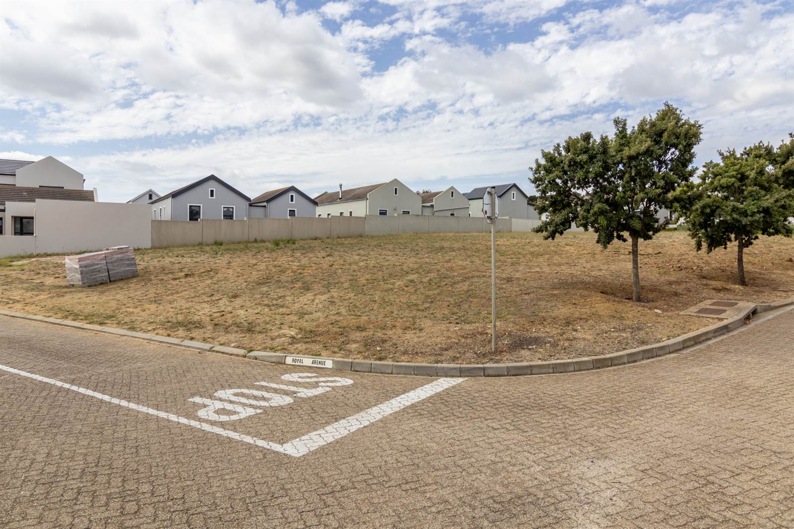800 m² Land available in Croydon Olive Estate photo number 3