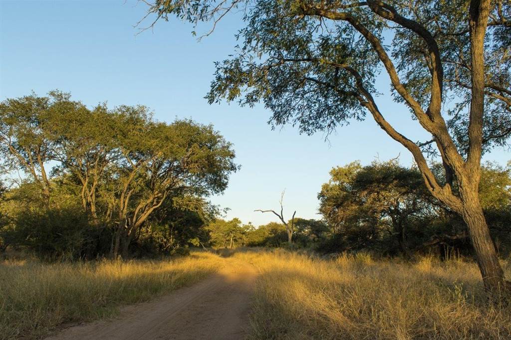 1 ha Land available in Hoedspruit photo number 3