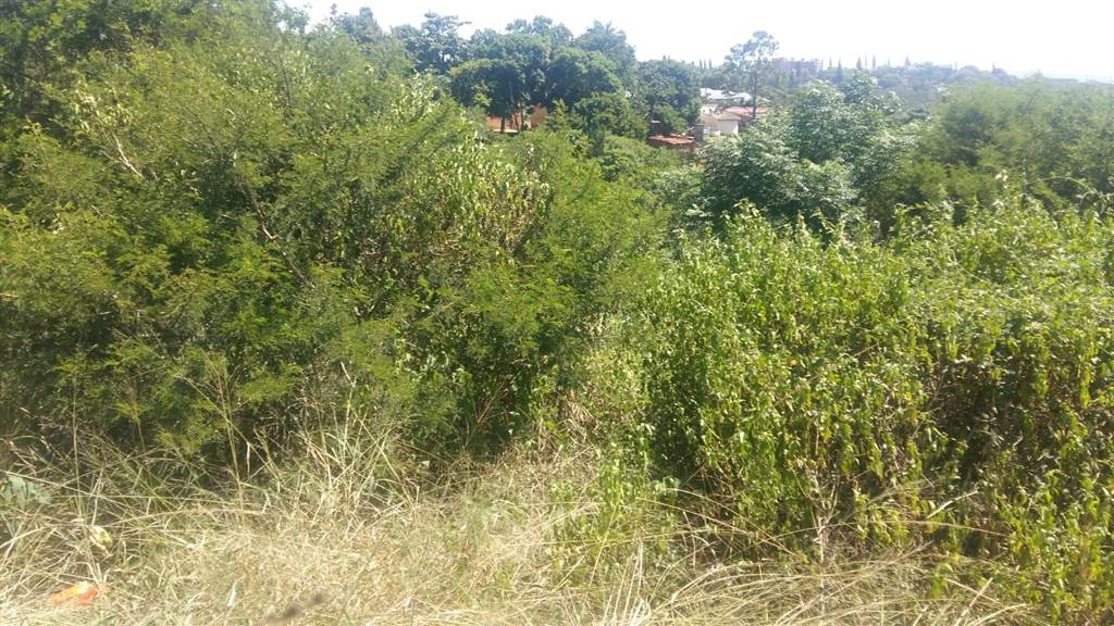 1.5 ha Land available in Esikhawini photo number 3