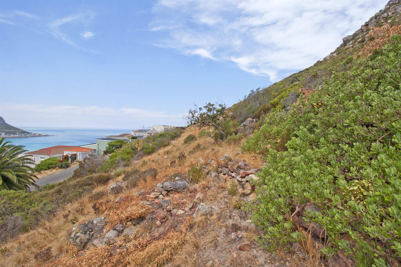 714 m² Land available in Fish Hoek photo number 6