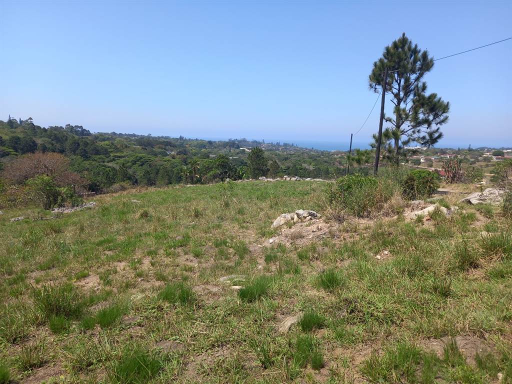 1125 m² Land available in Margate photo number 5