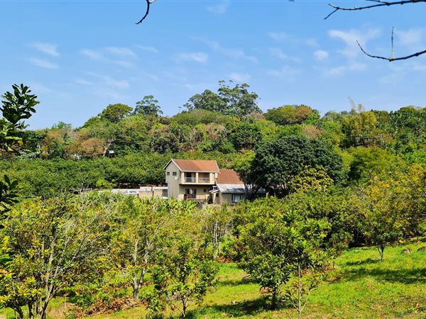 2.2 ha Smallholding in Banners Rest