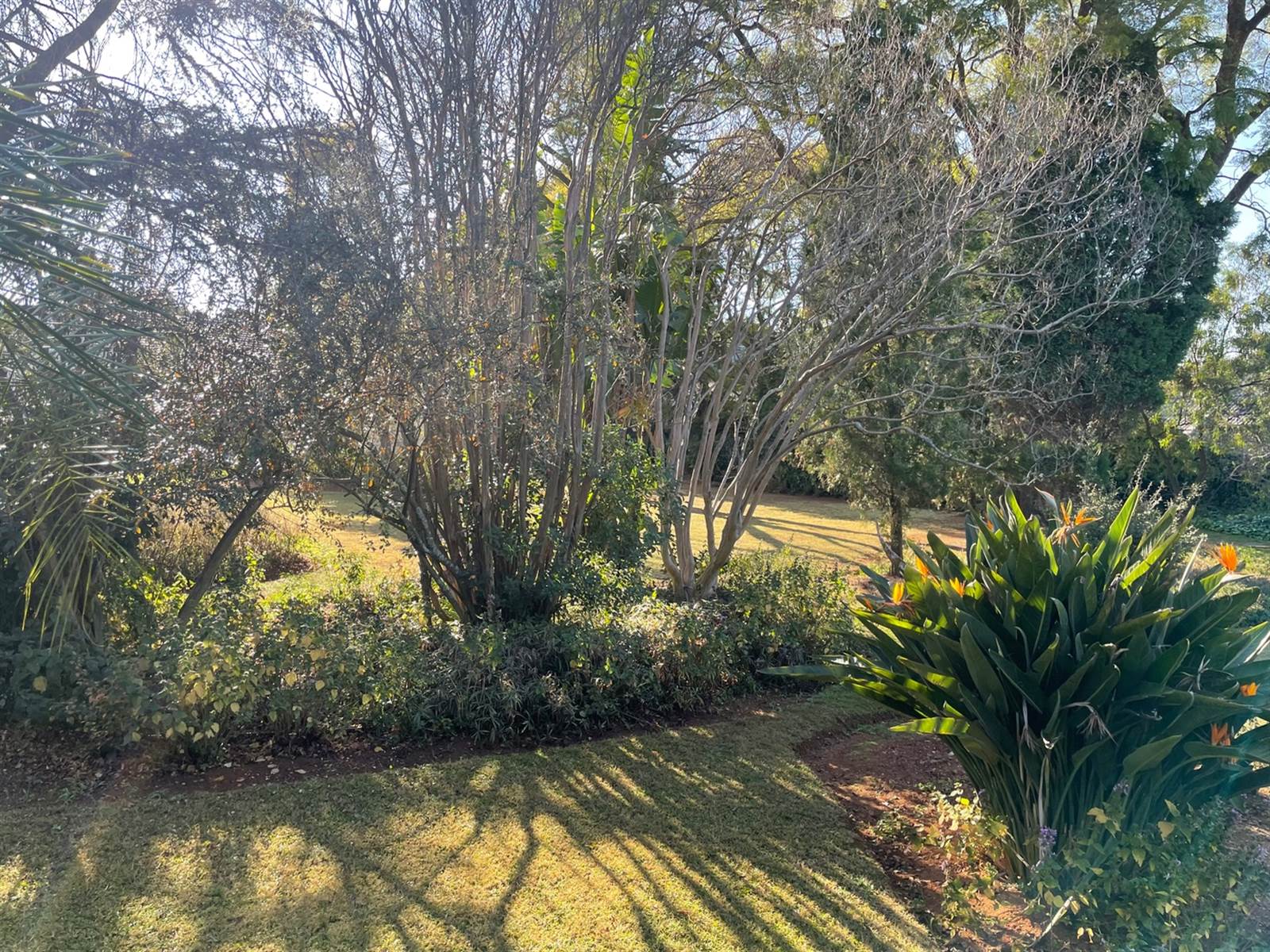 2072 m² Land available in Bryanston photo number 9