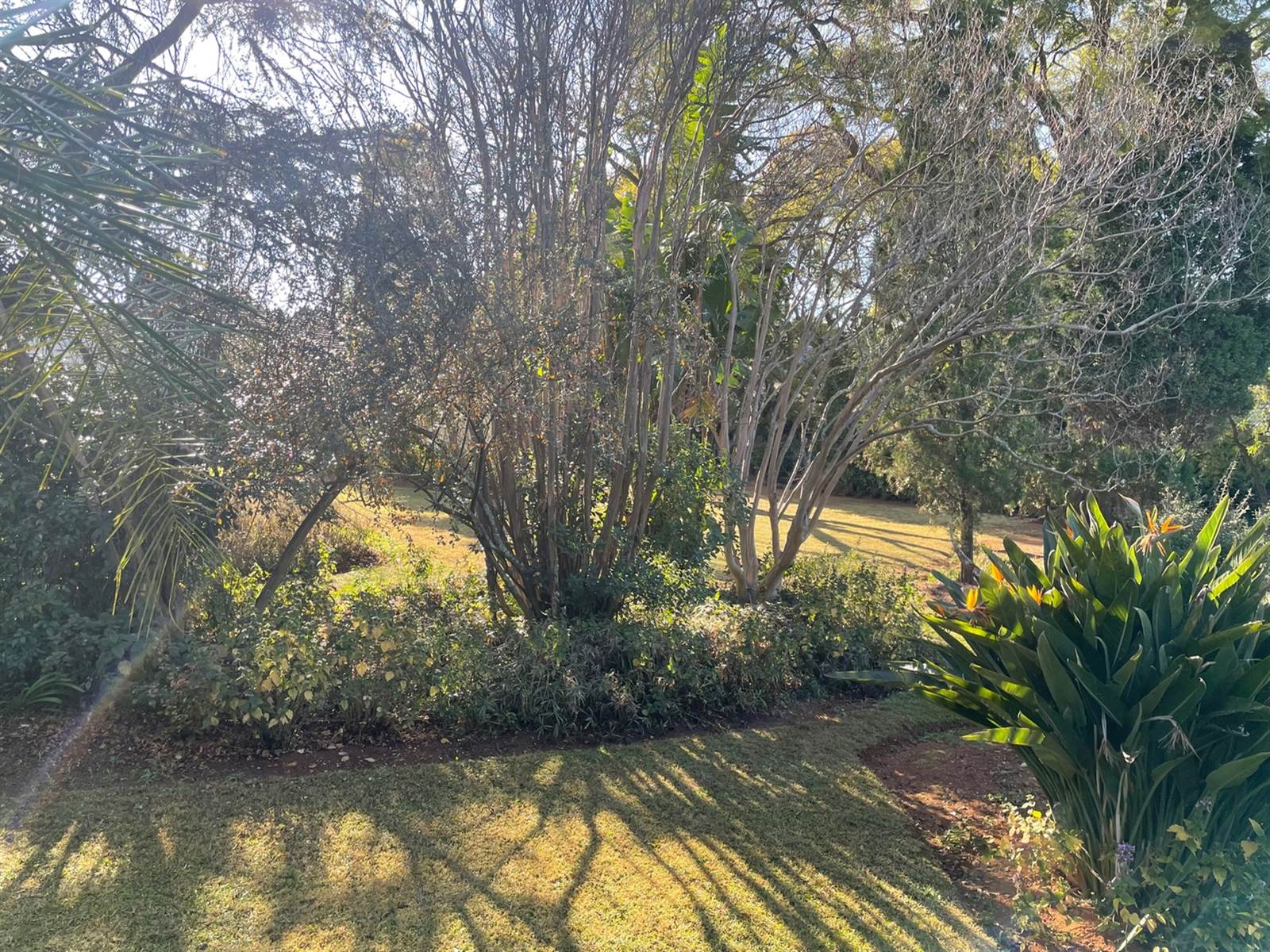 2072 m² Land available in Bryanston photo number 8