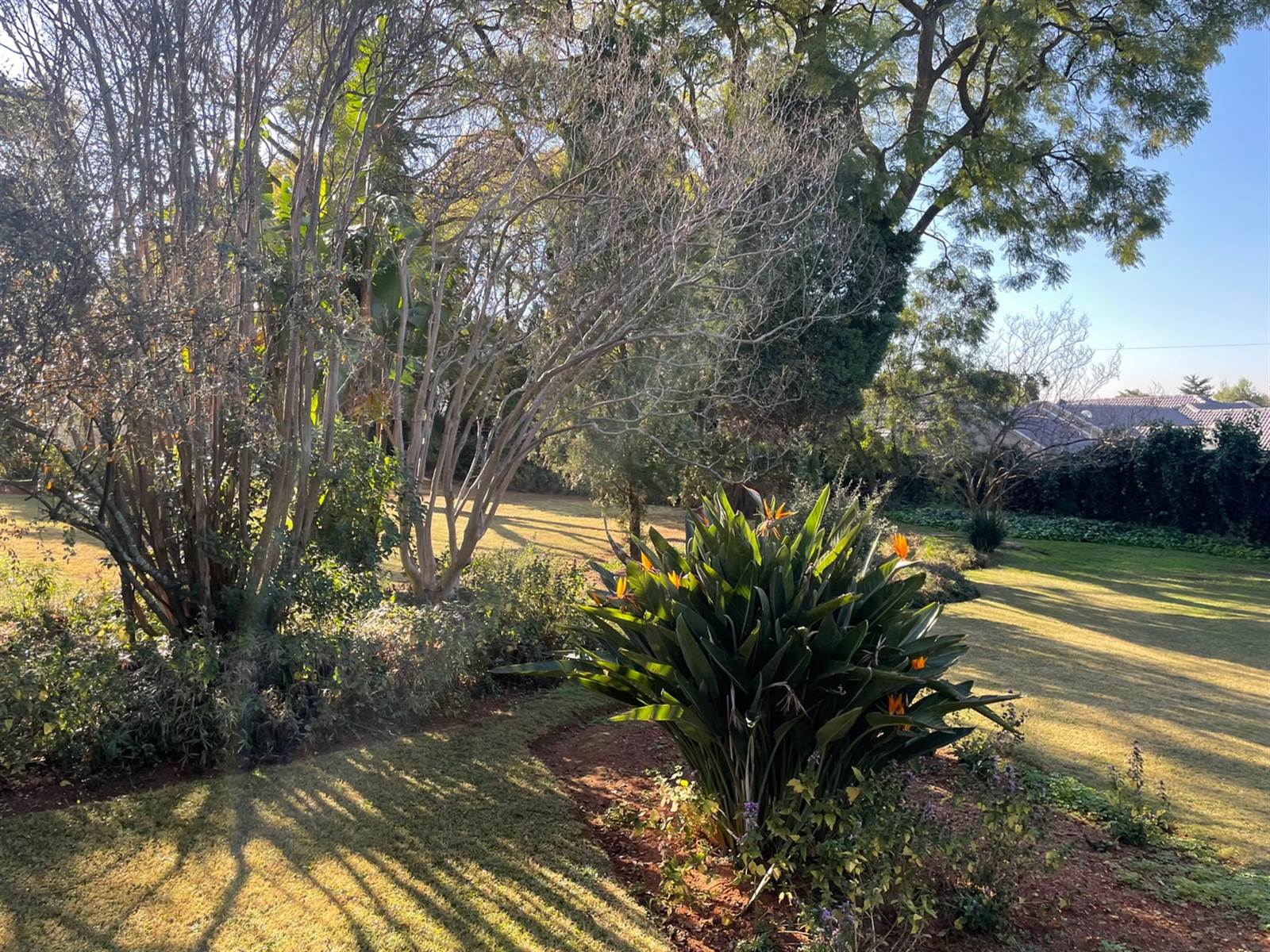 2072 m² Land available in Bryanston photo number 10