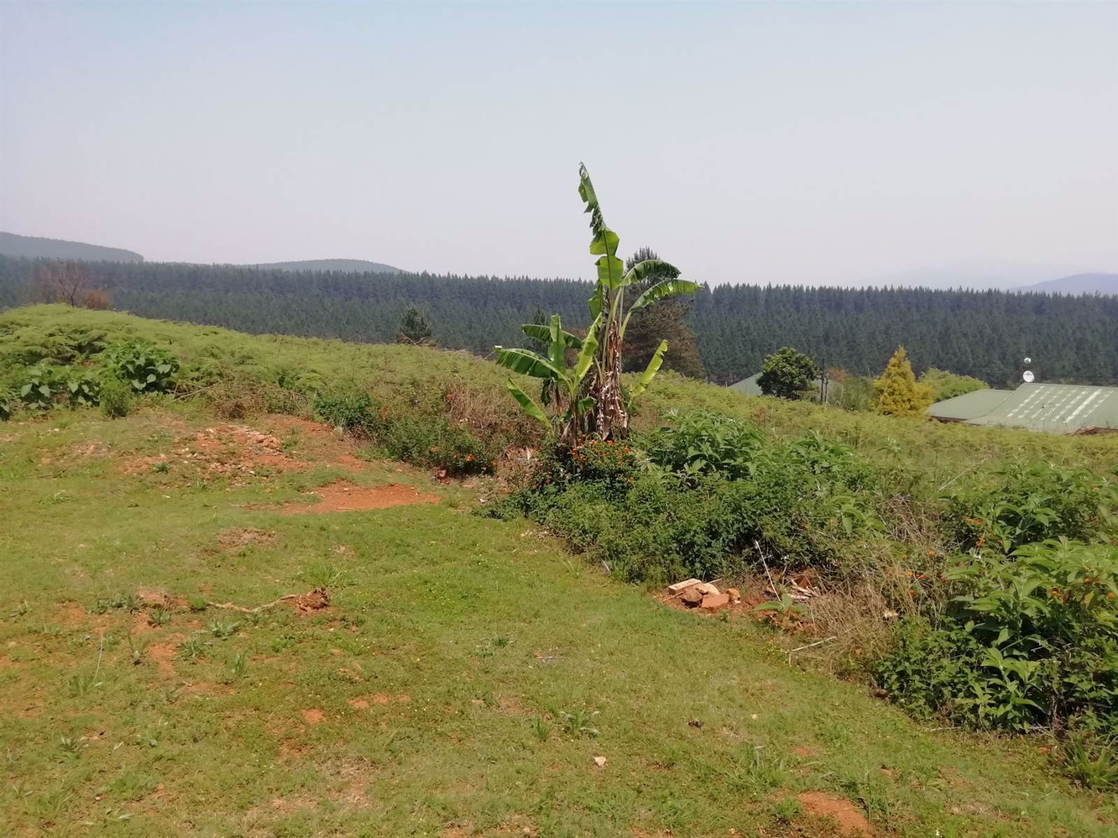 1556 m² Land available in Sabie photo number 1