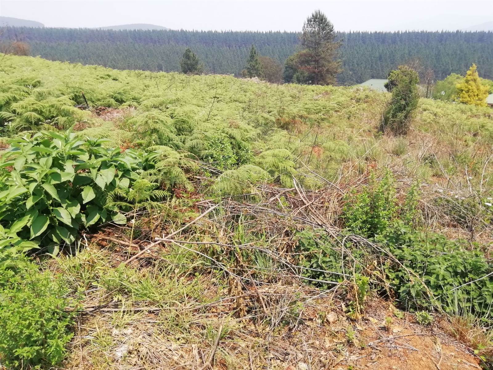 1556 m² Land available in Sabie photo number 3