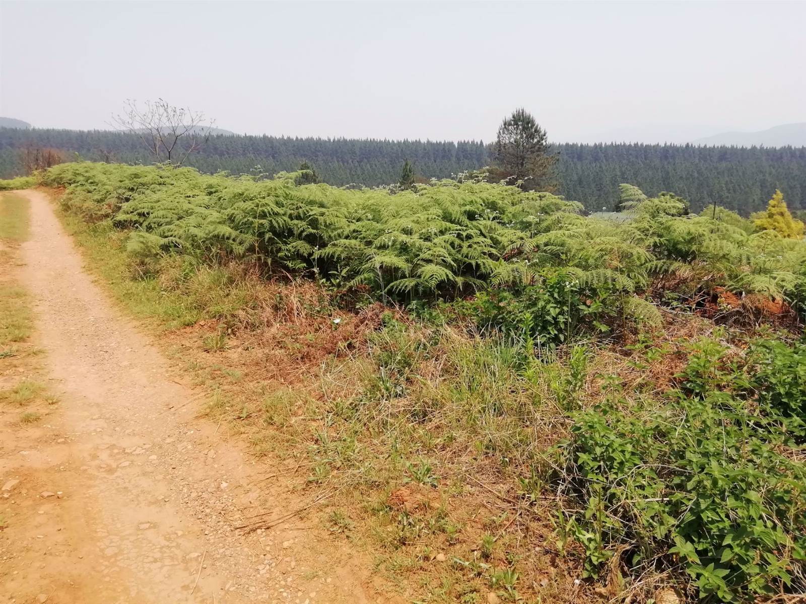 1556 m² Land available in Sabie photo number 5