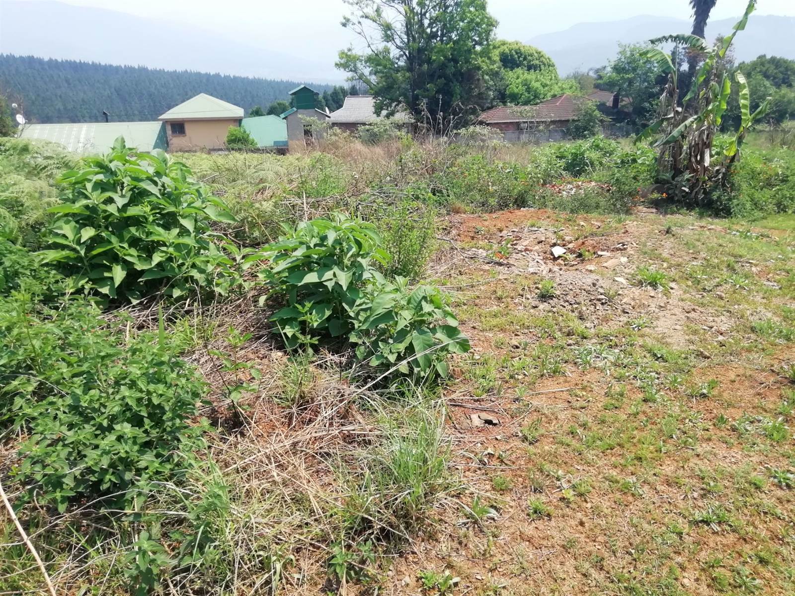 1556 m² Land available in Sabie photo number 6