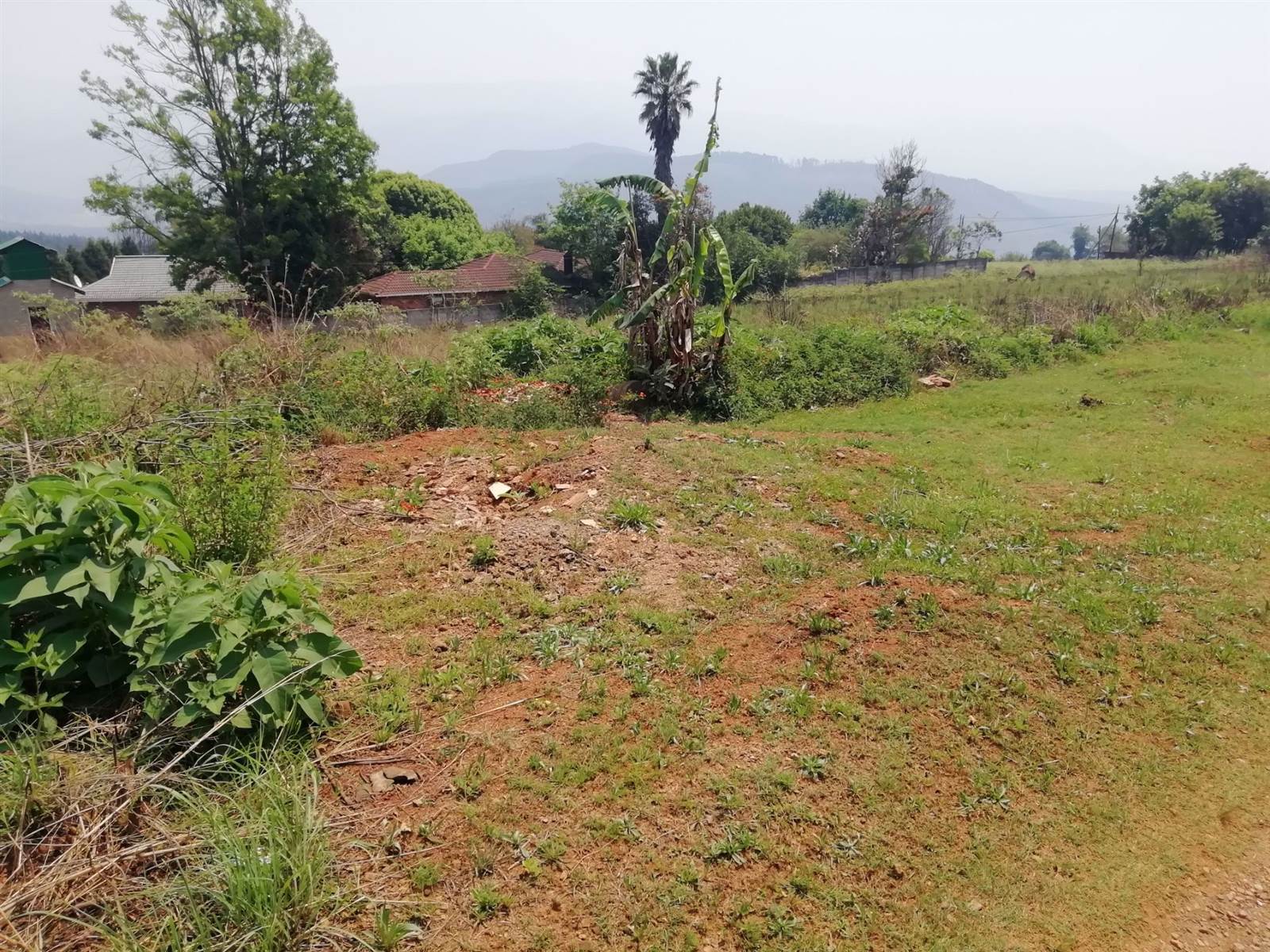 1556 m² Land available in Sabie photo number 2