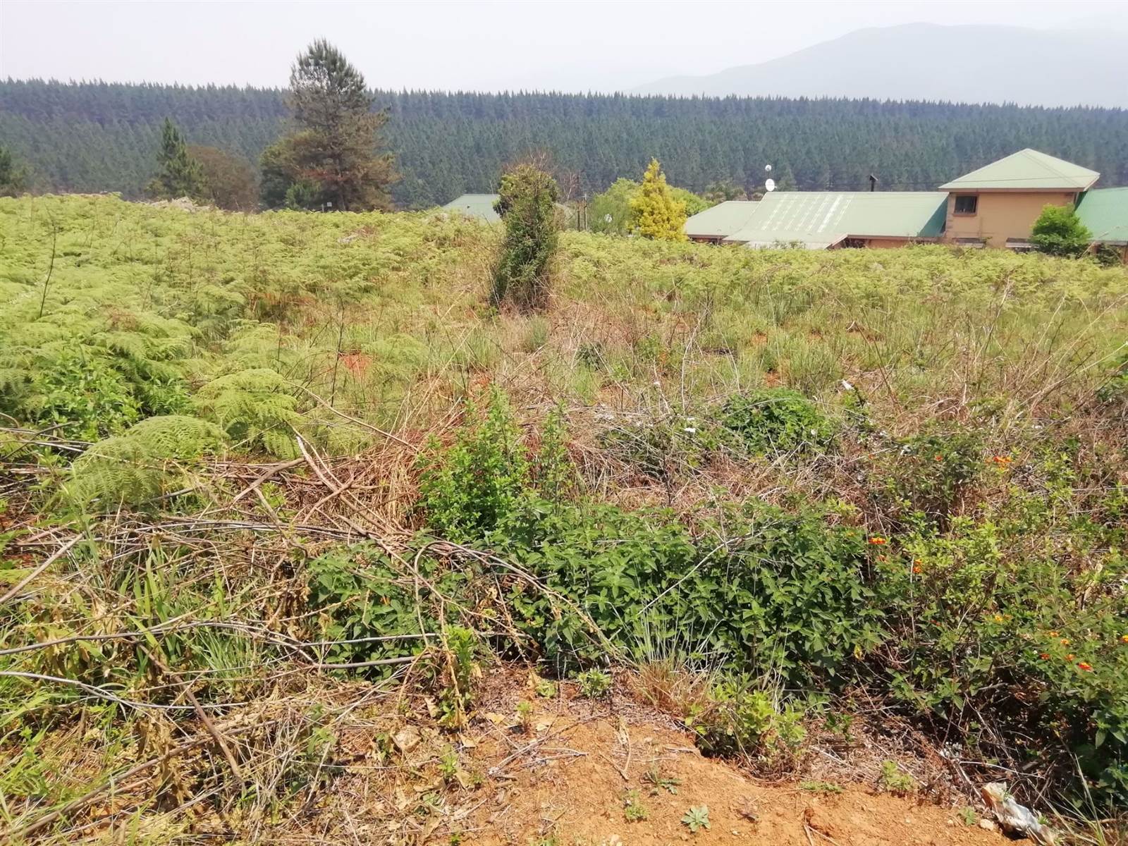 1556 m² Land available in Sabie photo number 4