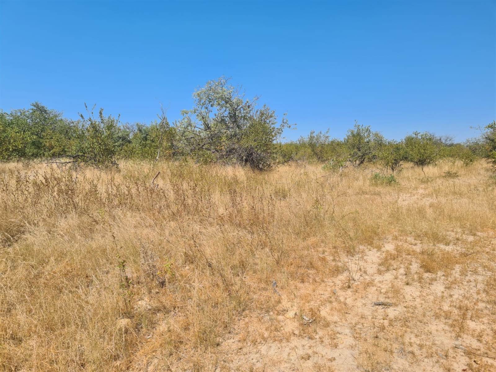 21 ha Land available in Phalaborwa photo number 3