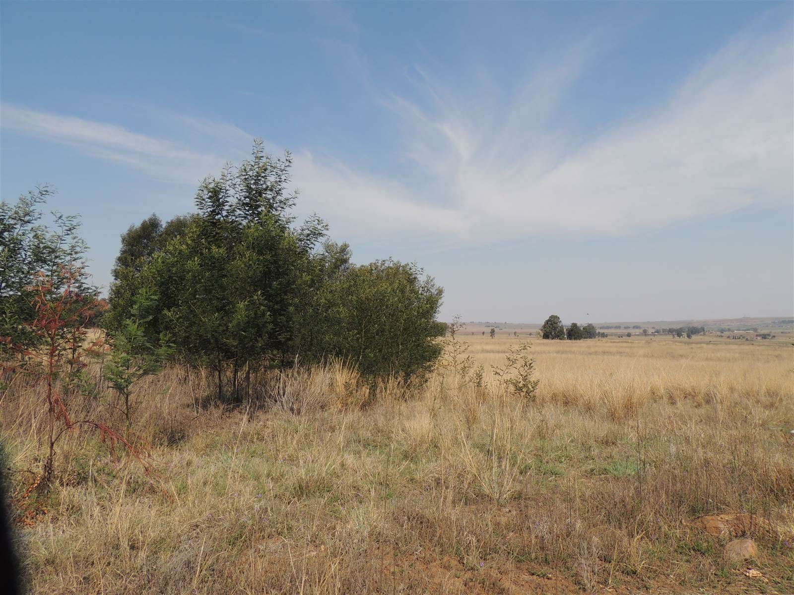 8896 m² Land available in Middelburg South photo number 2