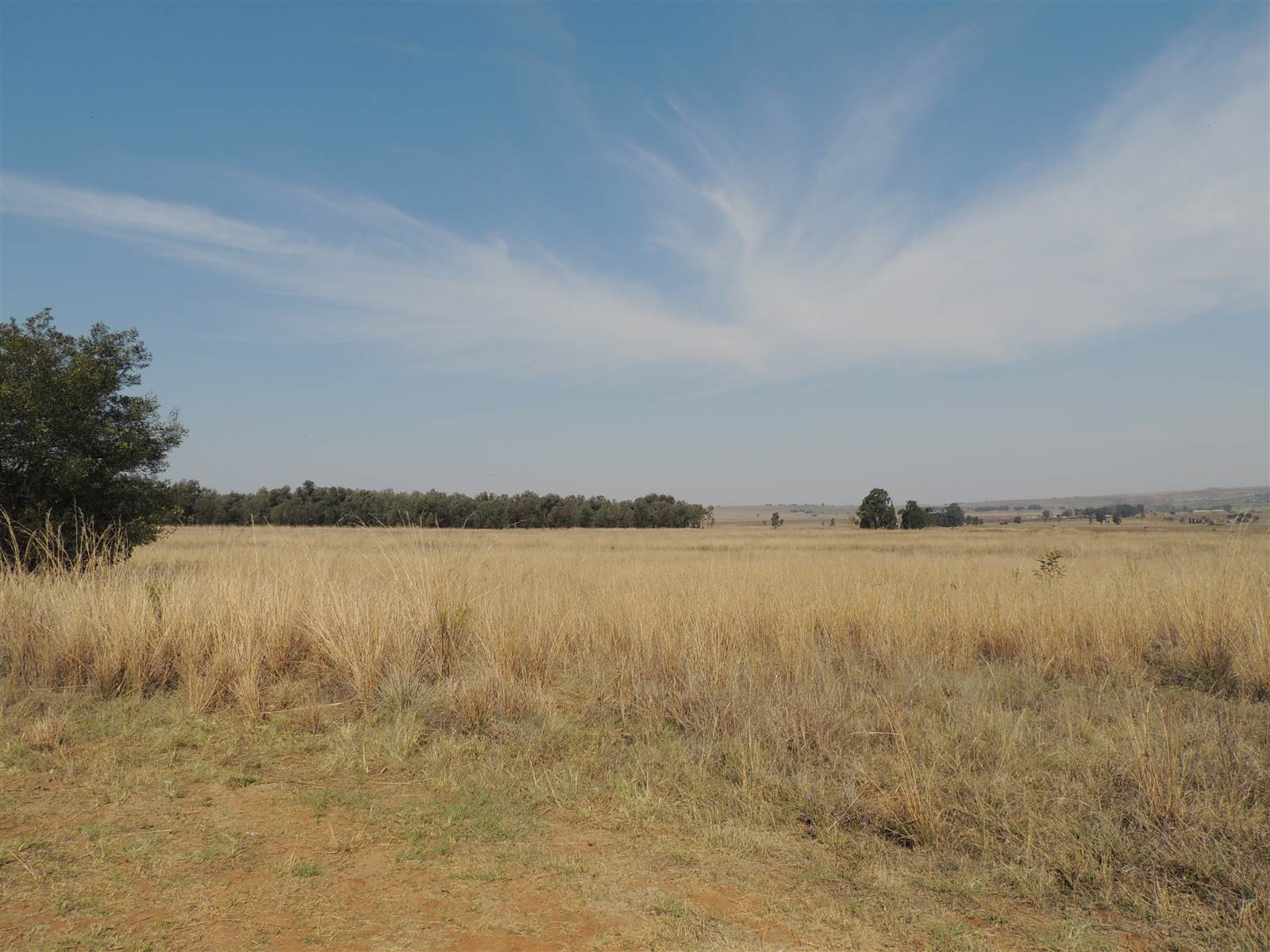 8896 m² Land available in Middelburg South photo number 4