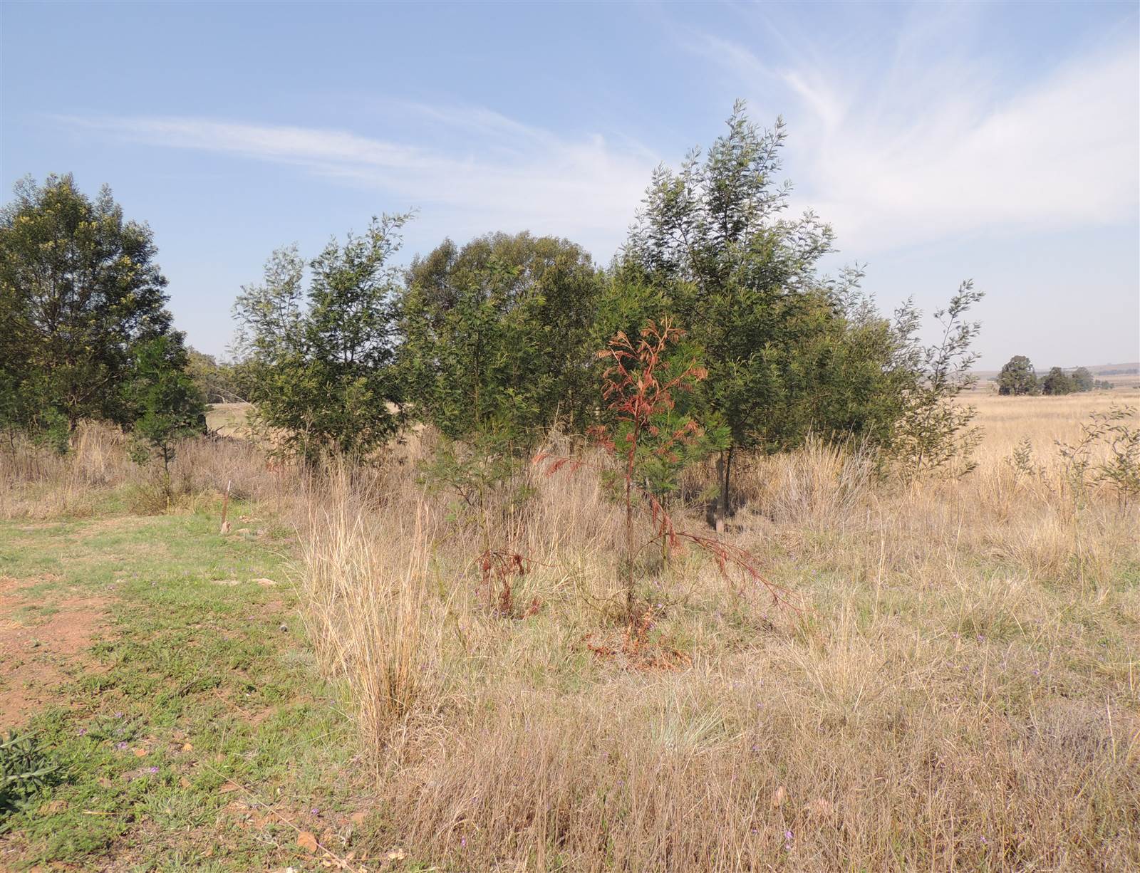 8896 m² Land available in Middelburg South photo number 14