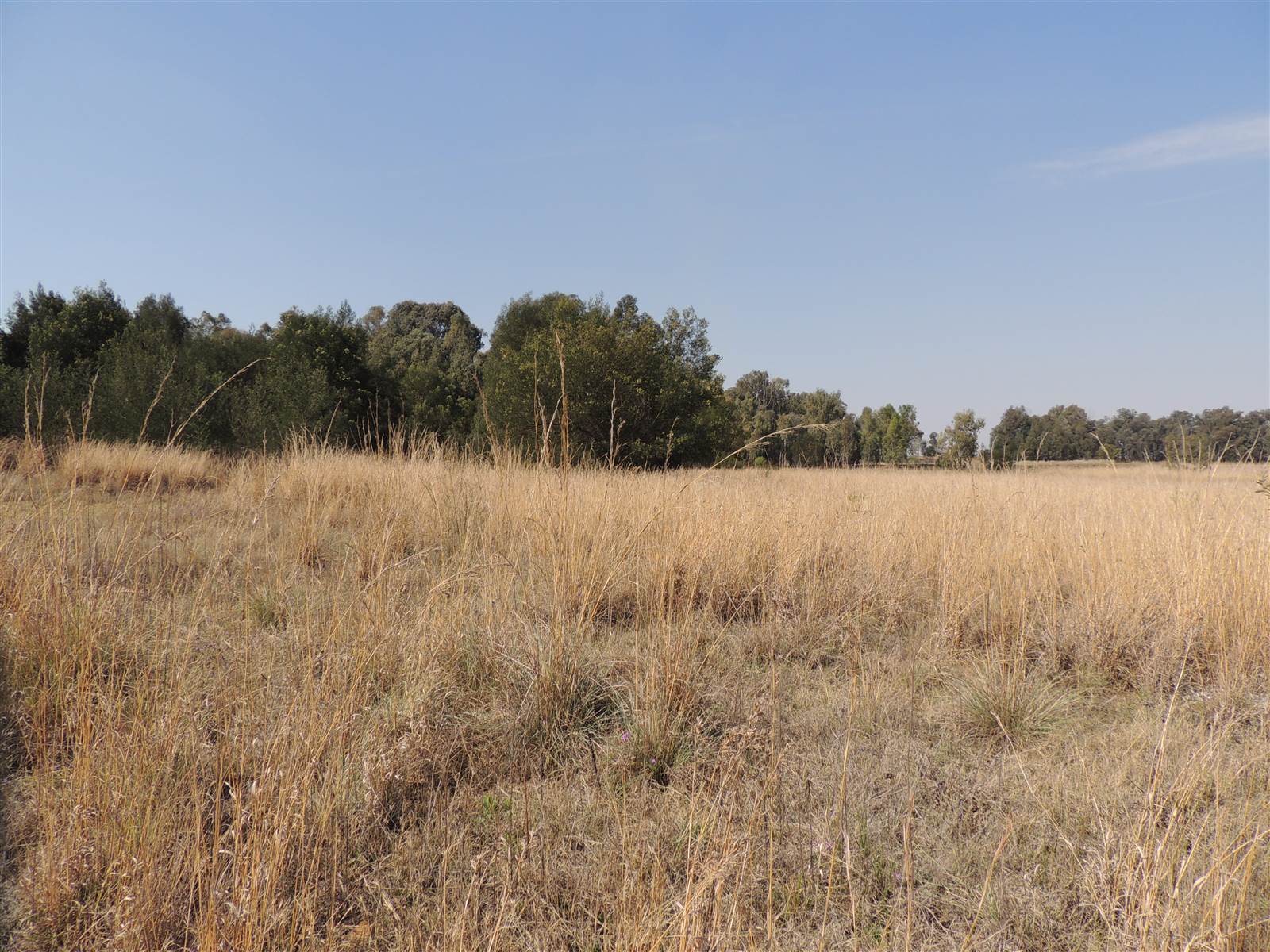 8896 m² Land available in Middelburg South photo number 6