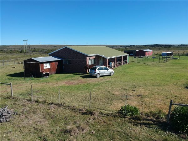 9.7 ha Smallholding