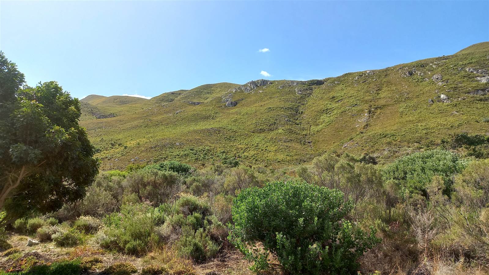 1687 m² Land available in Chanteclair photo number 3