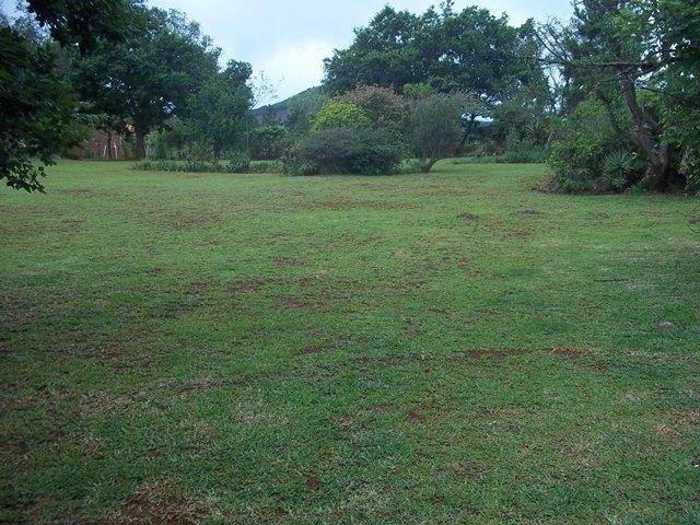 1503 m² Land available in Sabie photo number 4