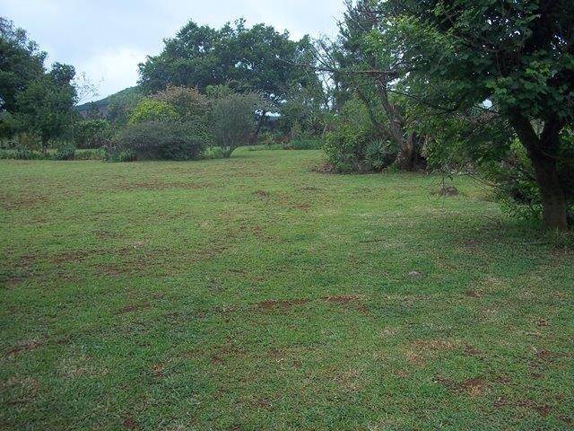 1503 m² Land available in Sabie photo number 2