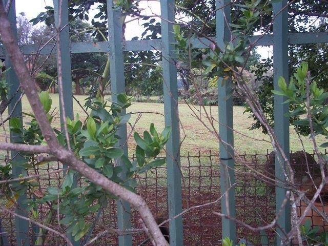 1503 m² Land available in Sabie photo number 5