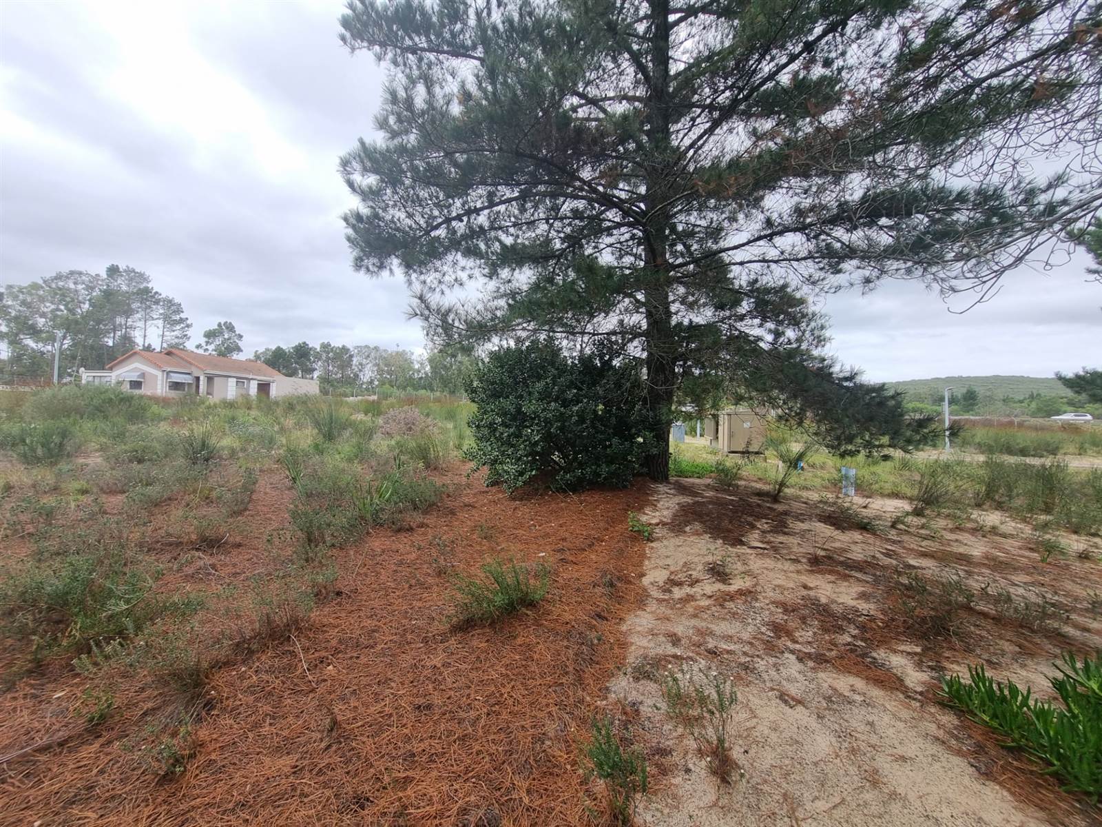 450 m² Land available in Albertinia photo number 6