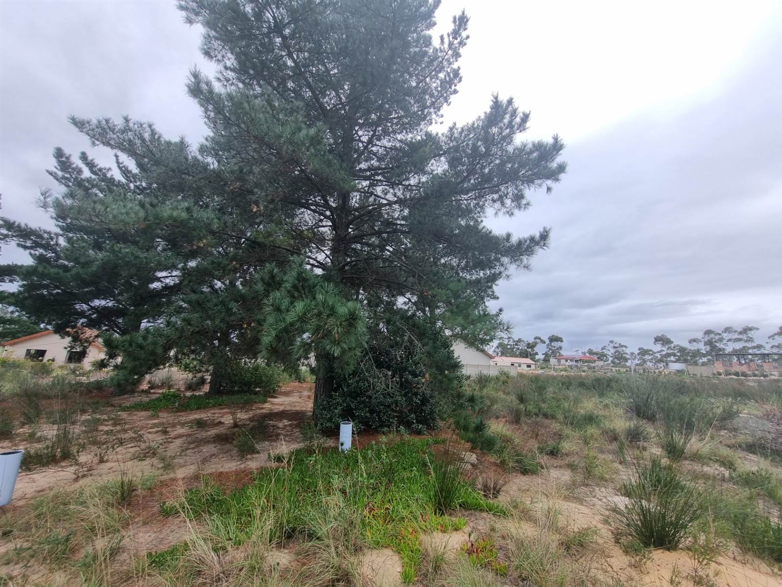 450 m² Land available in Albertinia photo number 3