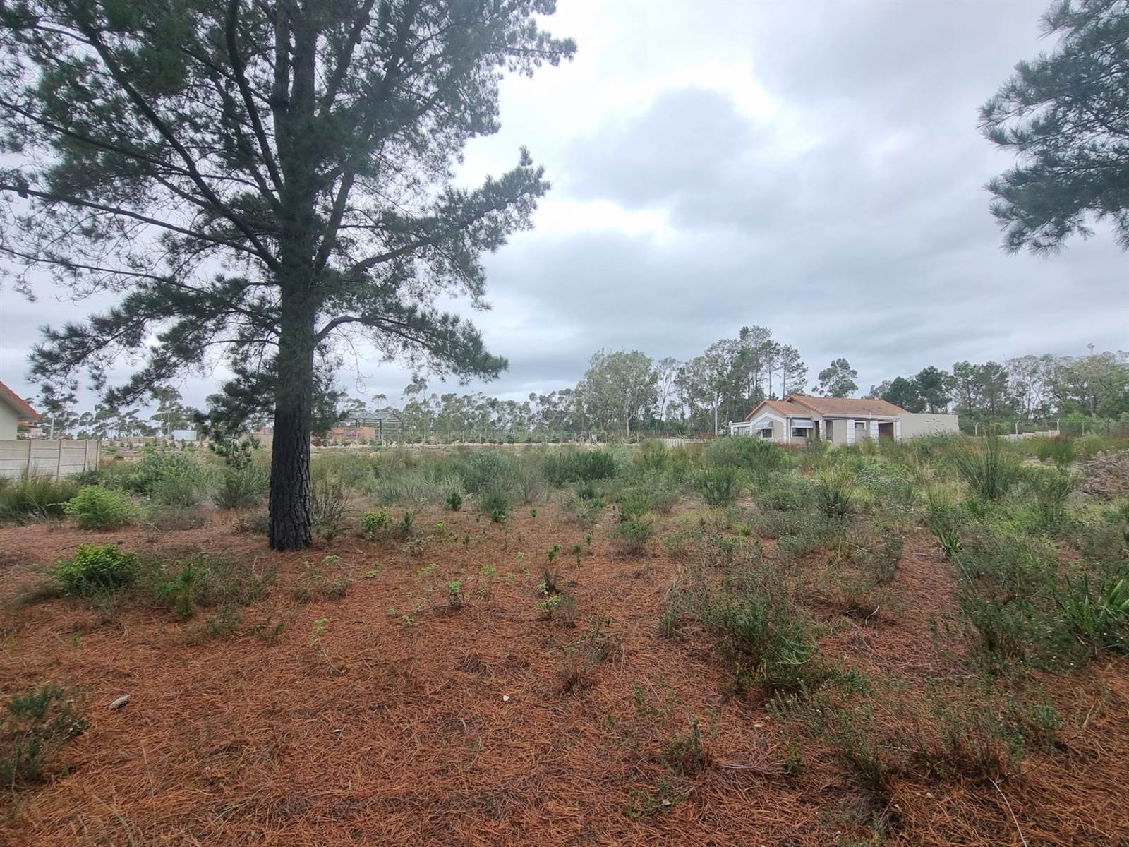450 m² Land available in Albertinia photo number 7