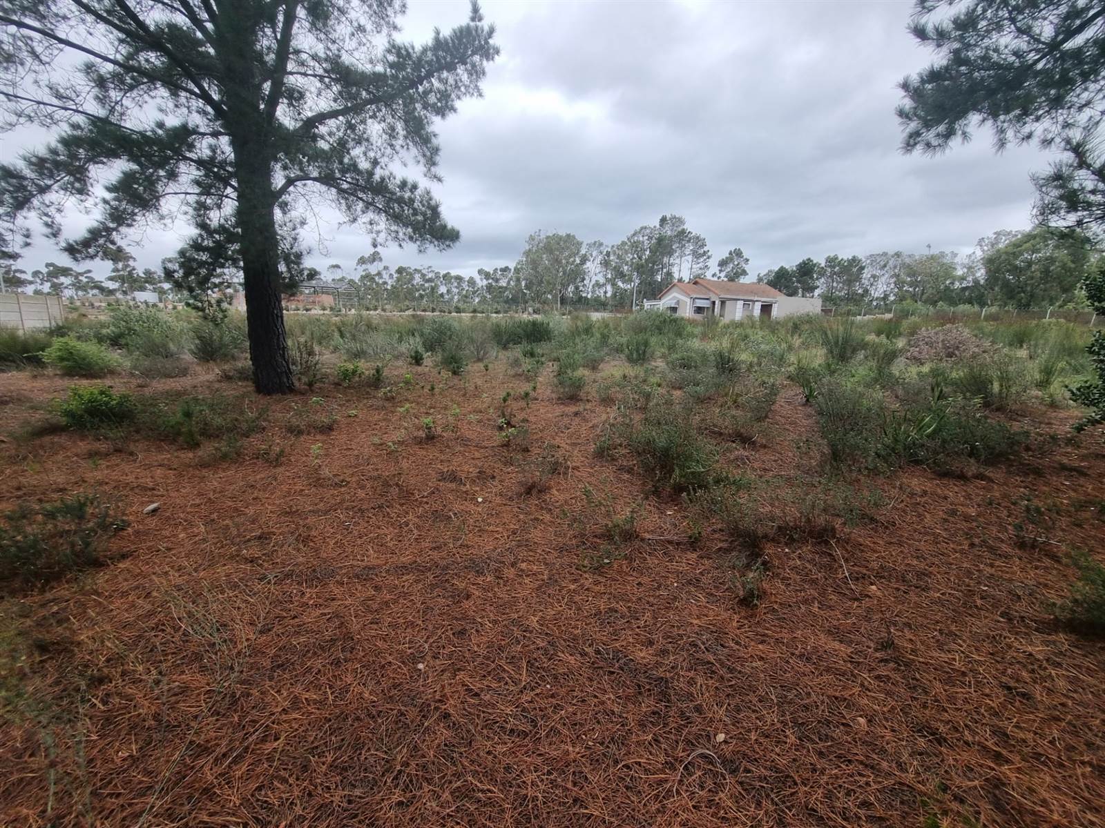 450 m² Land available in Albertinia photo number 1