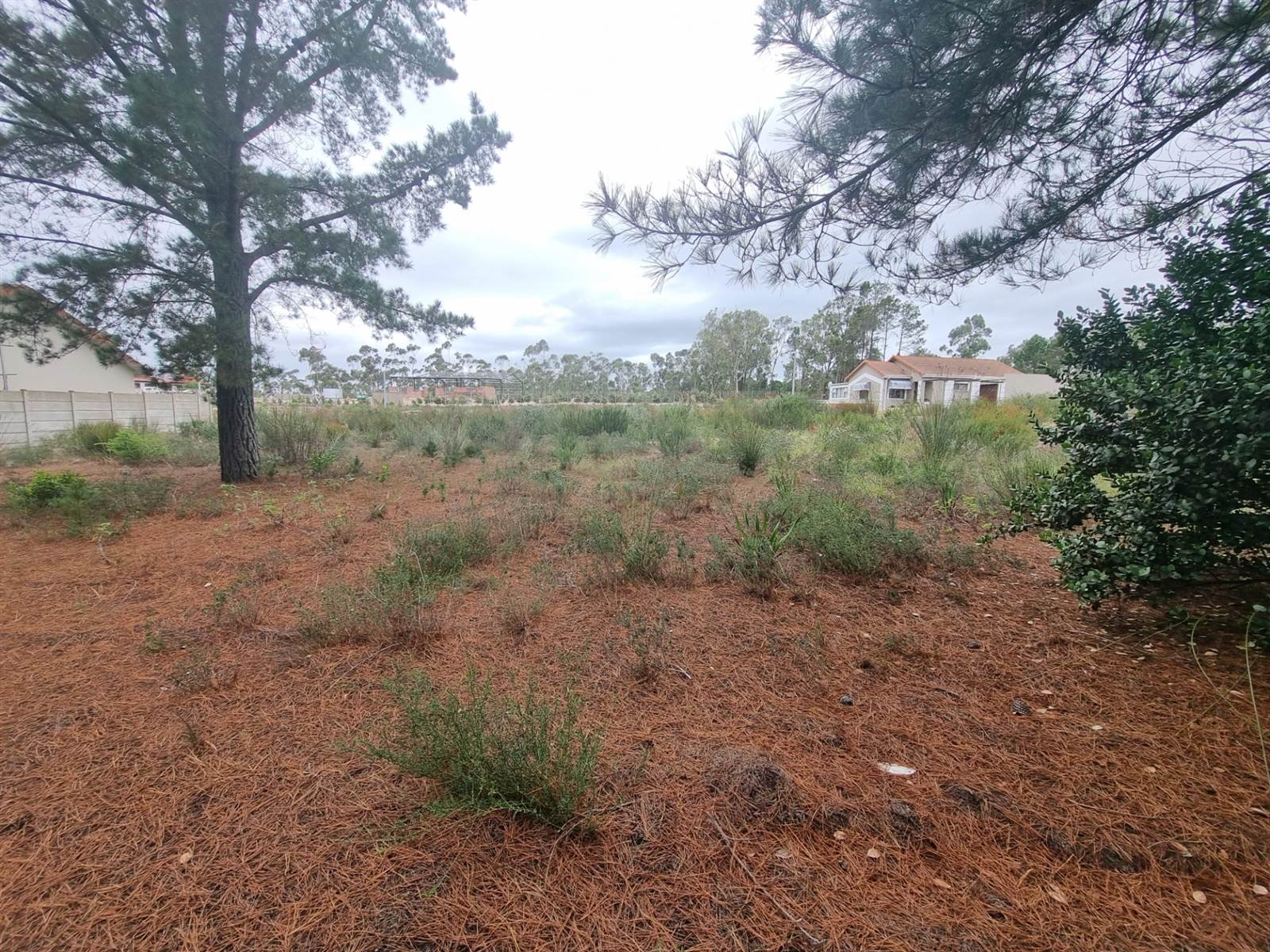 450 m² Land available in Albertinia photo number 5