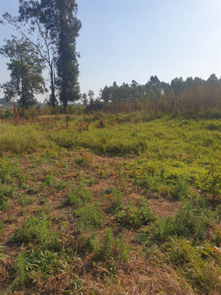 2.2 ha Land available in White River photo number 7