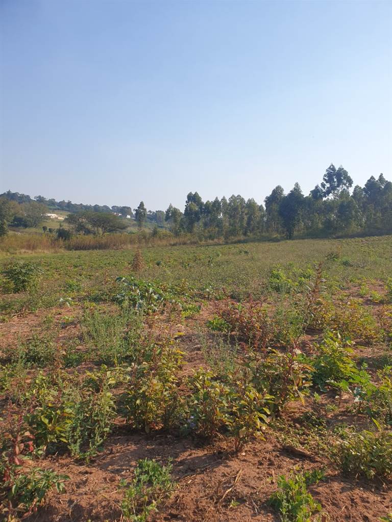 2.2 ha Land available in White River photo number 5