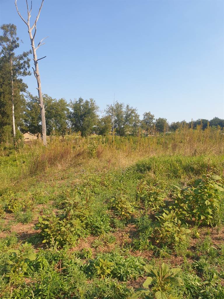 2.2 ha Land available in White River photo number 6