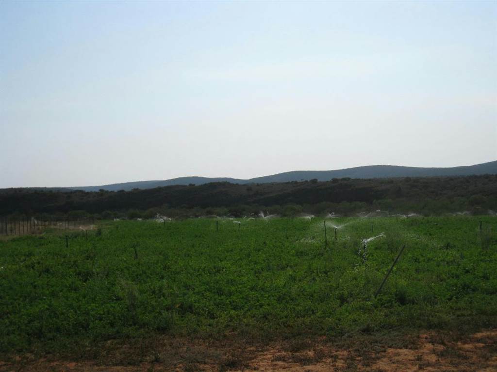 298 ha Farm in Grahamstown Central photo number 15