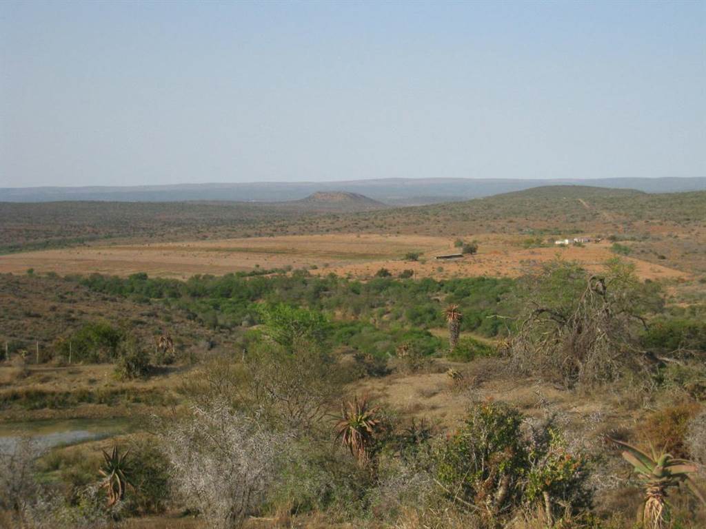 298 ha Farm in Grahamstown Central photo number 11