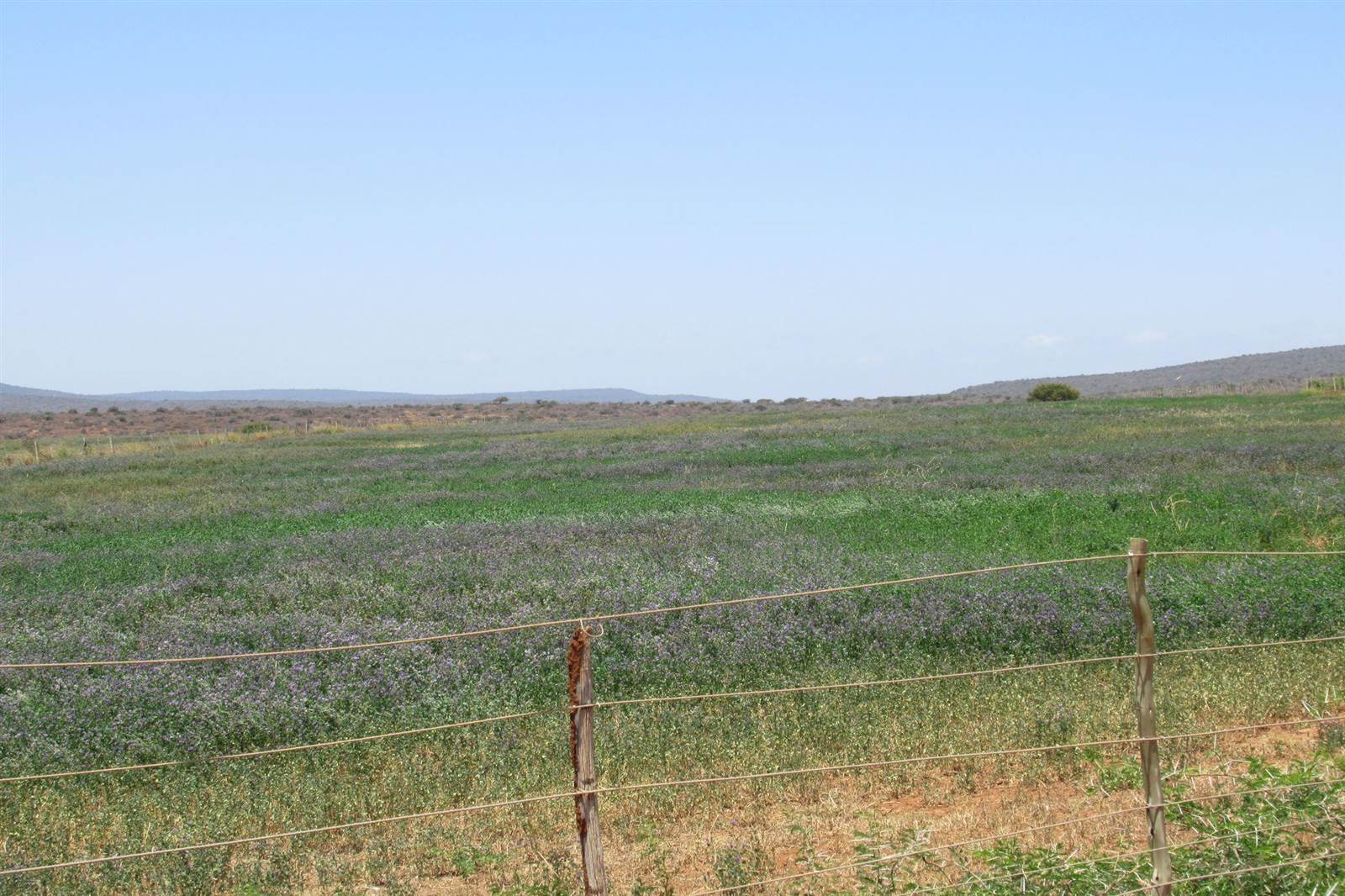 298 ha Farm in Grahamstown Central photo number 27