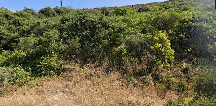 1353 m² Land available in Amsterdamhoek photo number 4
