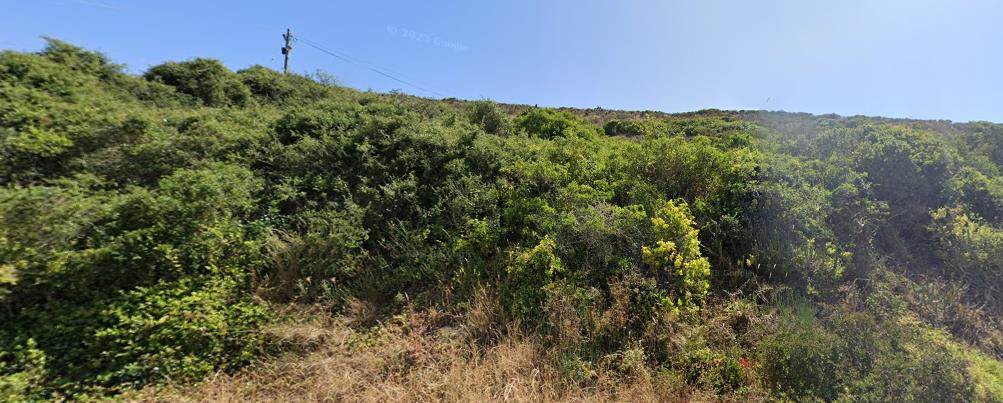 1353 m² Land available in Amsterdamhoek photo number 6
