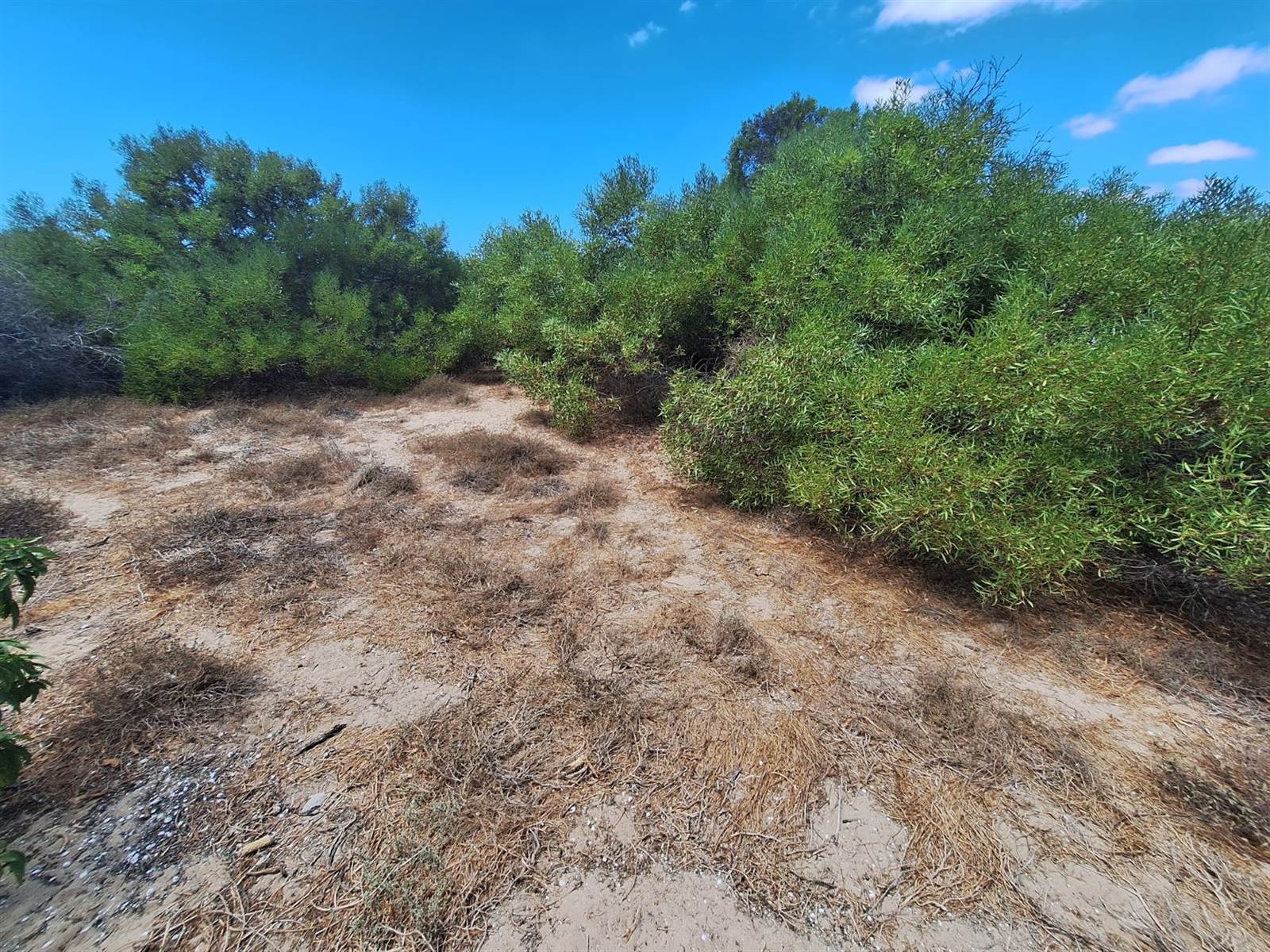 450 m² Land available in Shelley Point photo number 7